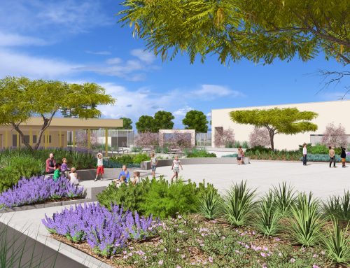 Hage Elementary