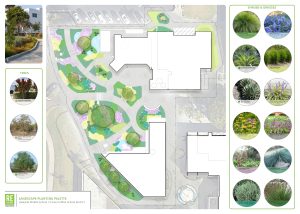 Plants and design layout
