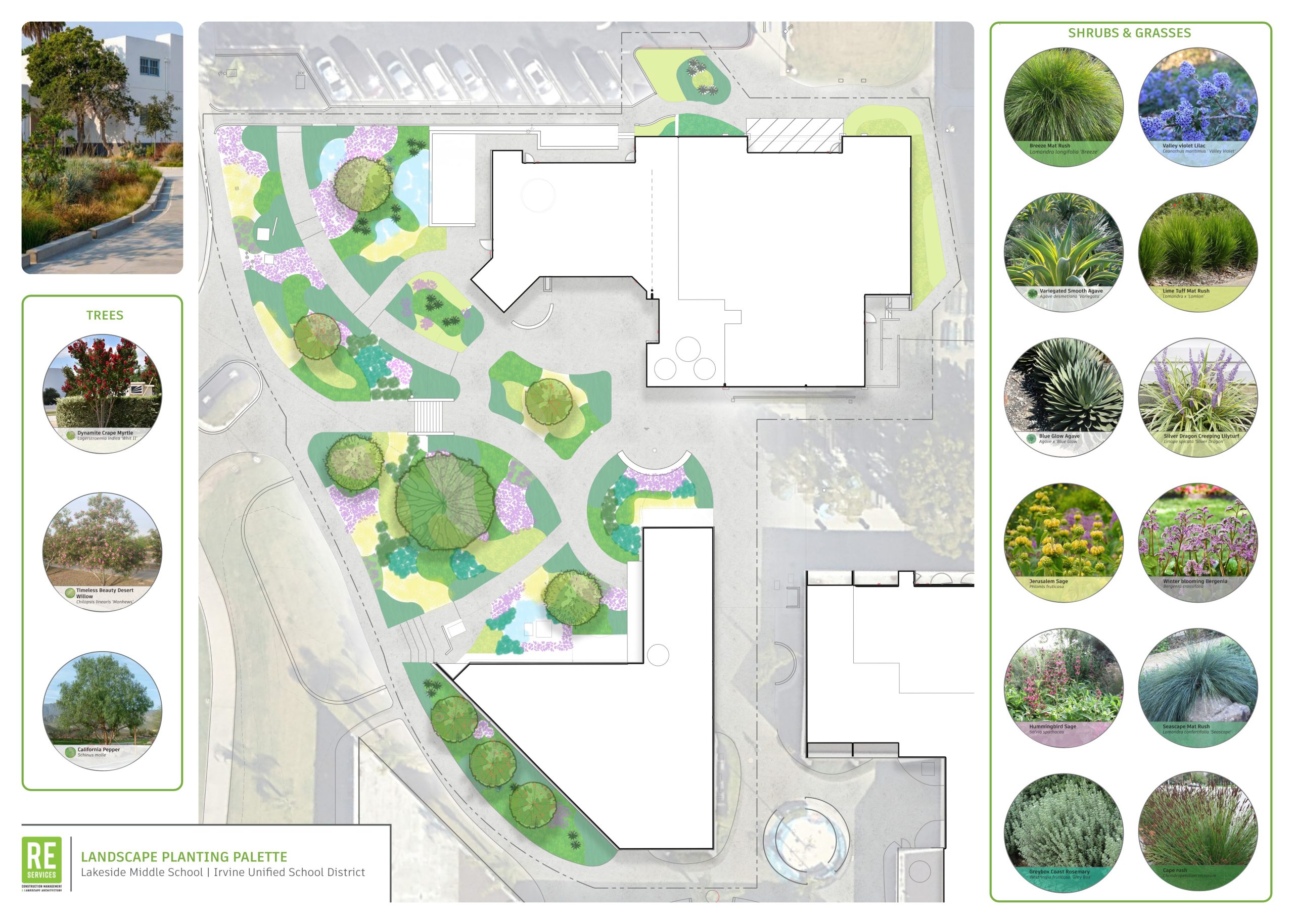Plants and design layout